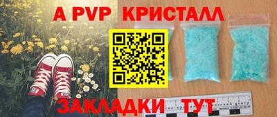 PSILOCYBIN Будённовск