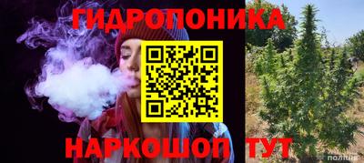 PSILOCYBIN Будённовск