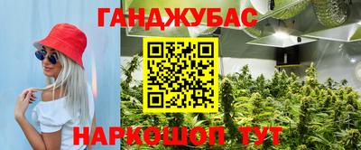 PSILOCYBIN Будённовск