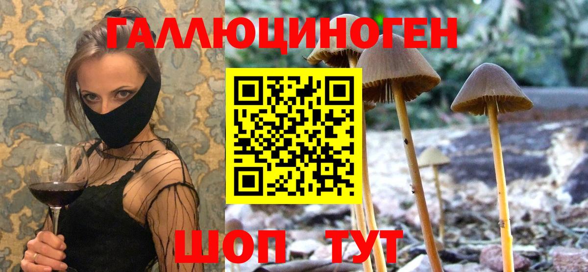 Галлюциногенные грибы Psilocybe  Вход с VPN  Феодосия 
